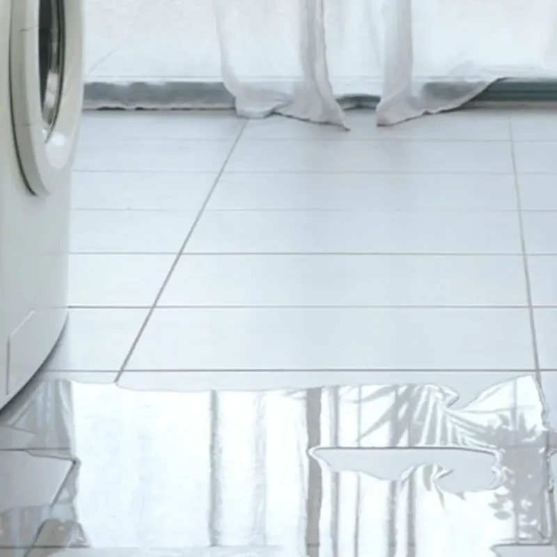 Appliance Leak Cleanup in Ormond-by-the-Sea, FL