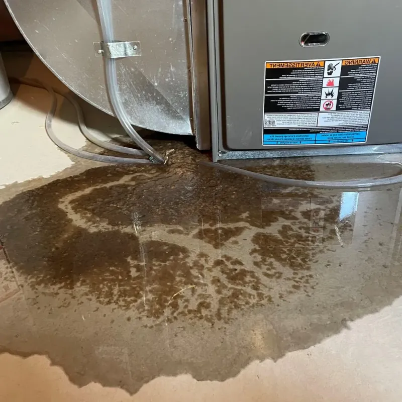 Pipe Burst and Leak Restoration in Ormond-by-the-Sea, FL